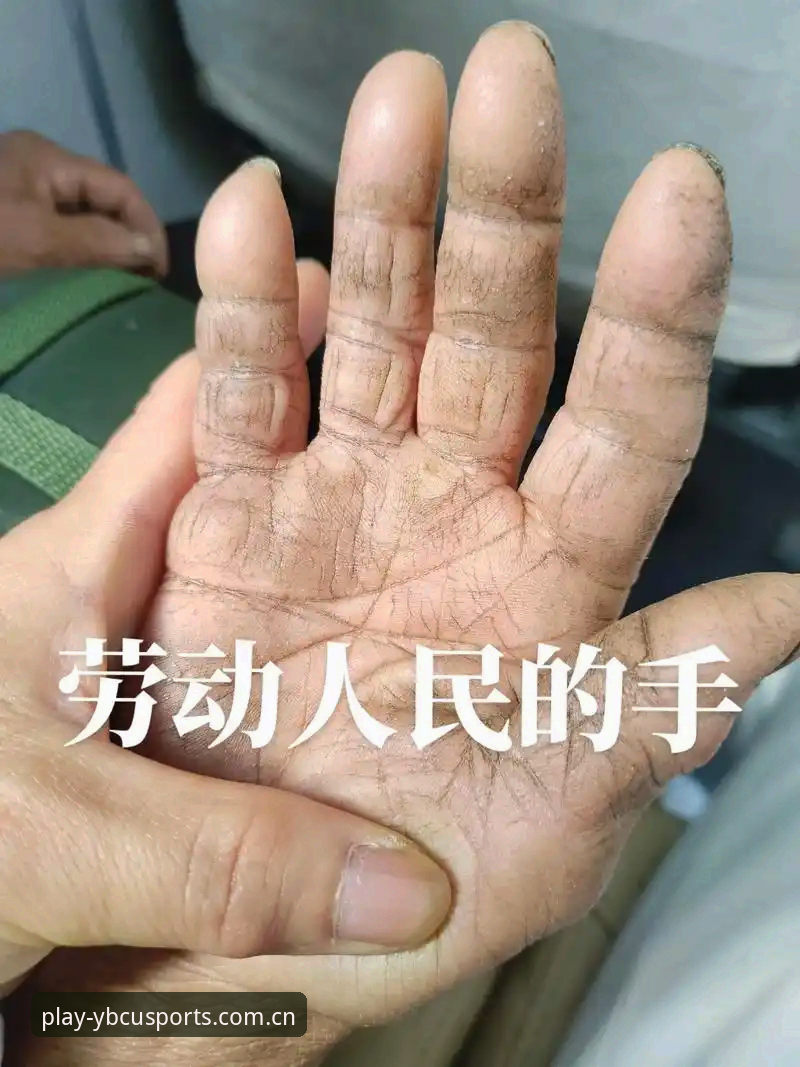从菜鸟到老手：我使用买球投注平台一年后的实战经验总结