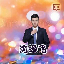 沈逸飞